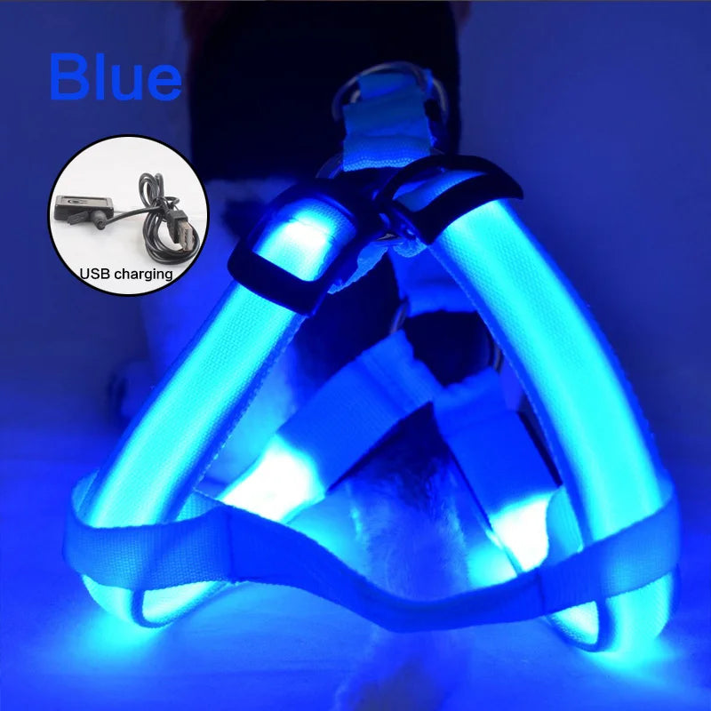 blue Illuminate dog Harness by sniffwagglenwalk - Sniff Waggle And Walk