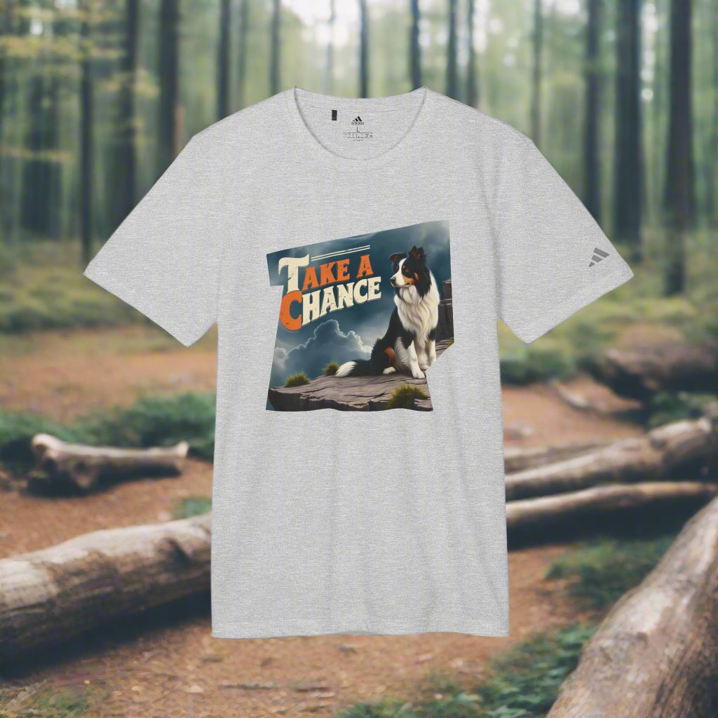 border collie tshirt gray