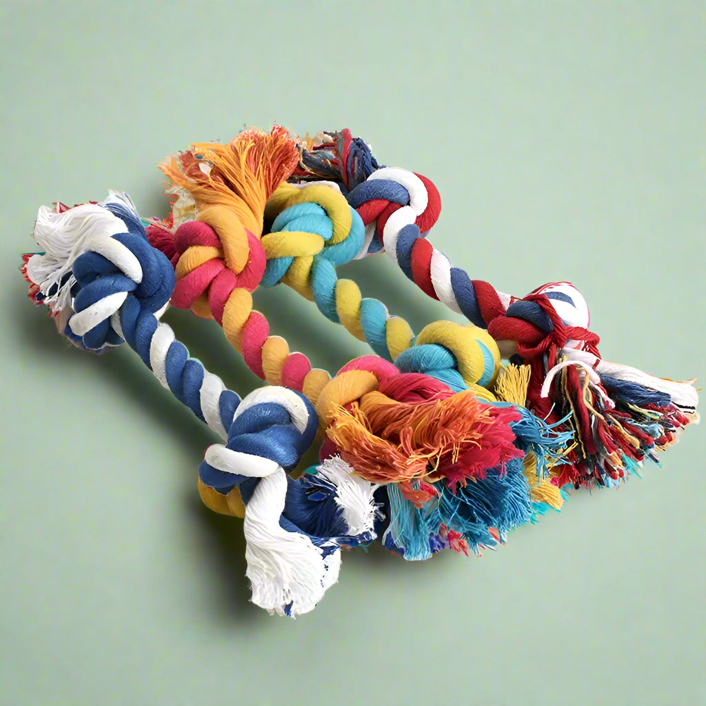 braided dog toy Chew Toy Durable Braided Bone Rope 18CM. - Sniff Waggle And Walk