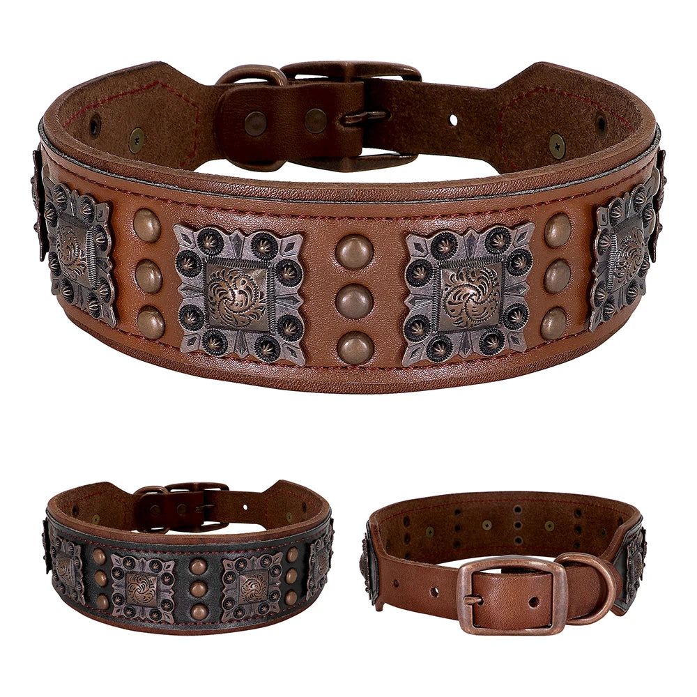 Brown leather dog collar with decorative studs and metal plates on a white background