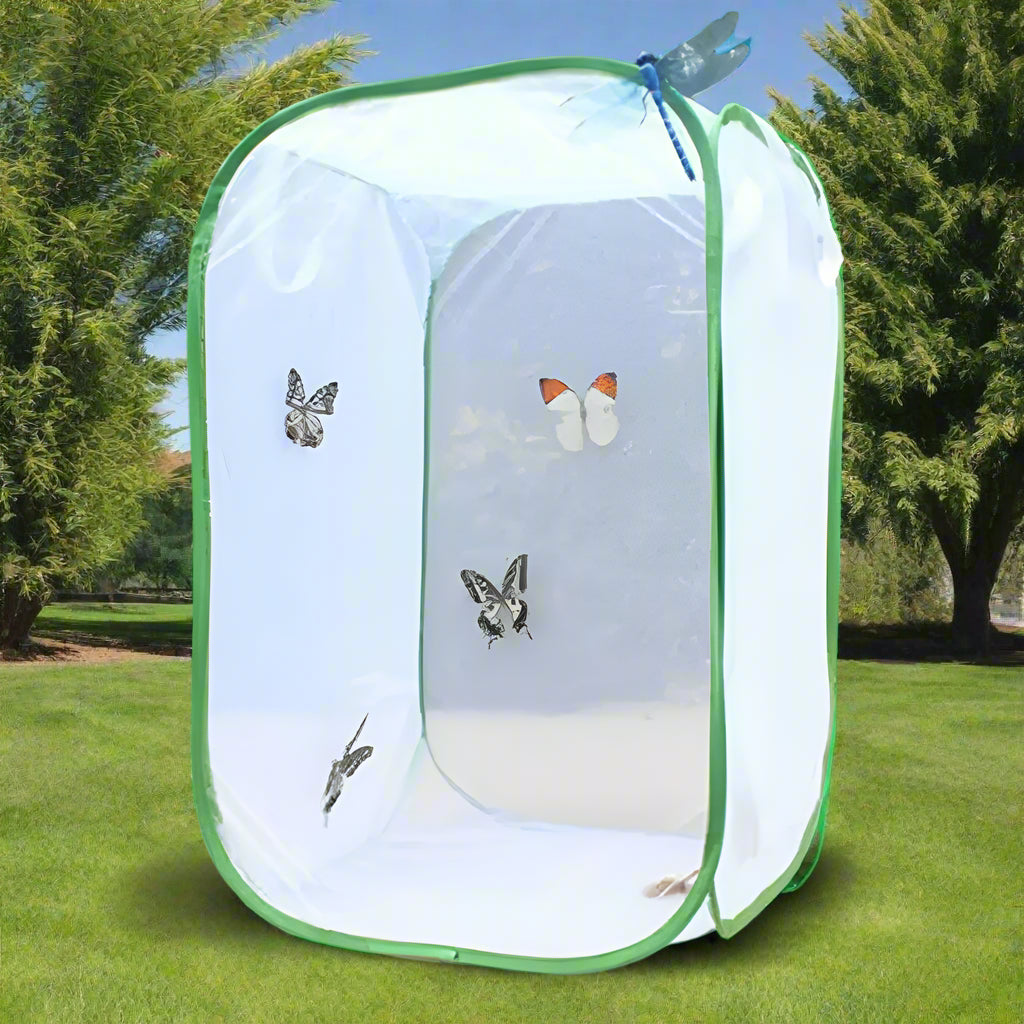 Butterfly Net shielding your beloved plants from curious pets. - Sniff Waggle And Walk