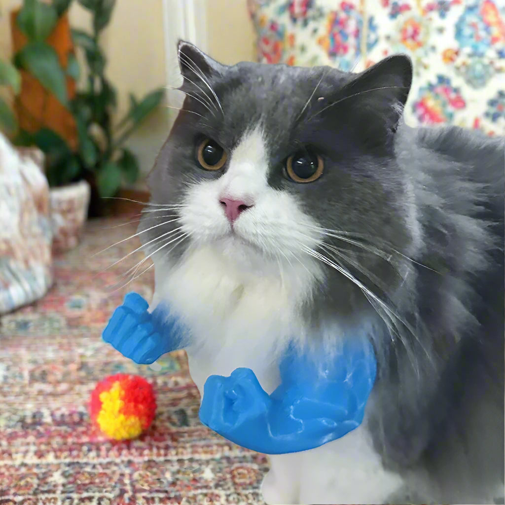 Cat wearing a blue arm cast toy on a carpeted floor.
