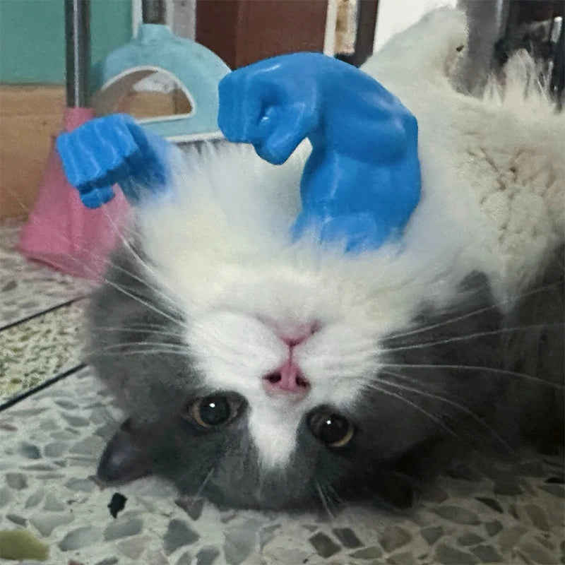 Cat with blue gloves on its head on a tiled floor
