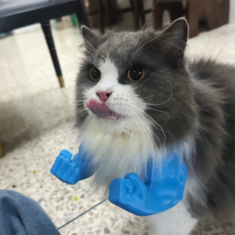Cat wearing blue gloves on a carpeted floor