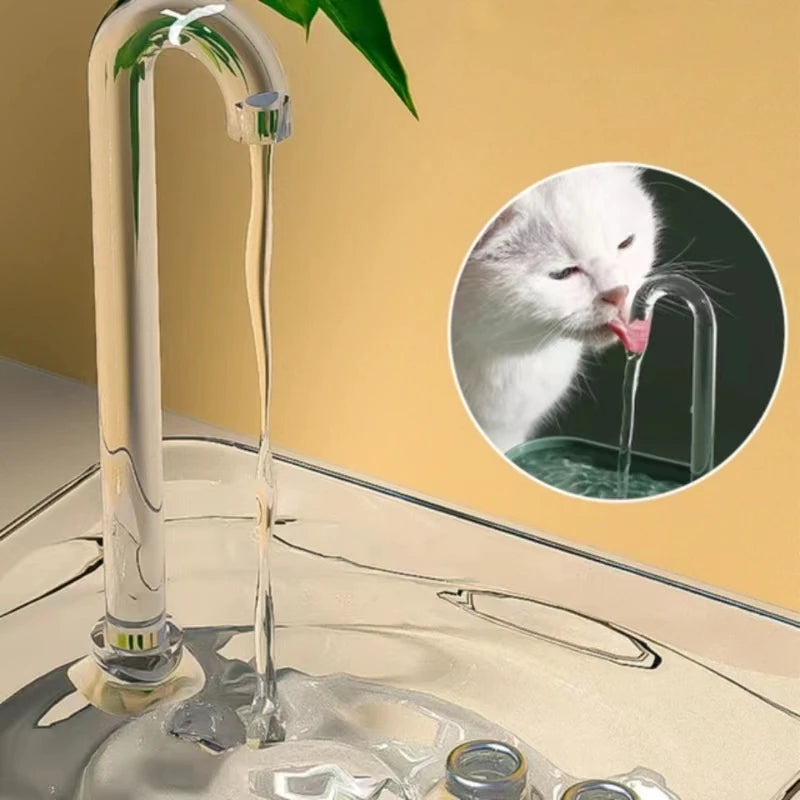the best cat drinking Water Fountain. - Sniff Waggle And Walk