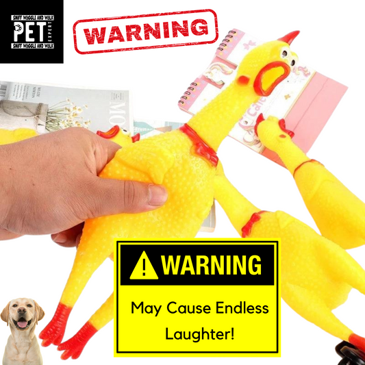 rubber chicken squeeky dog toy
