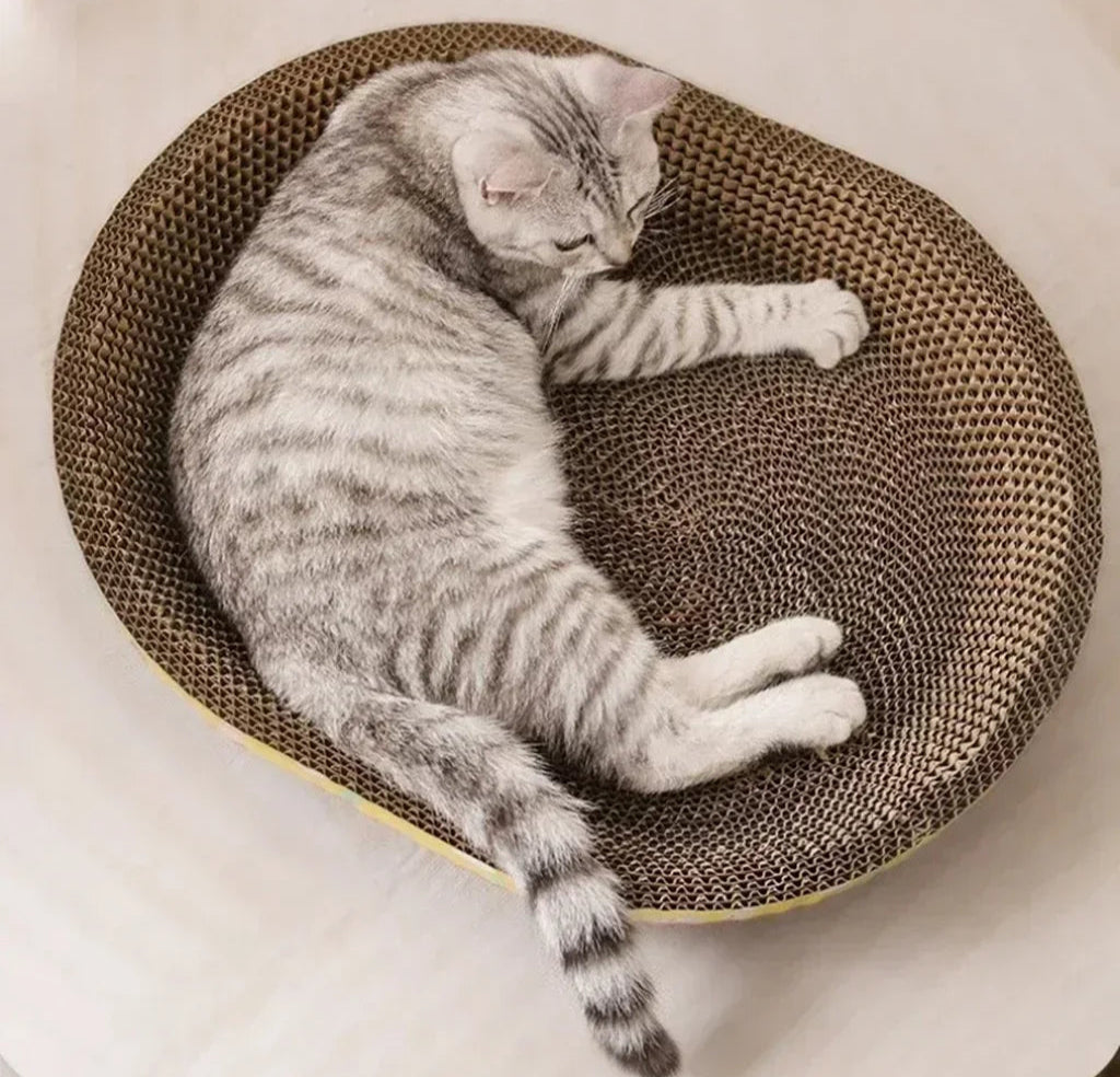 cat bed comfy