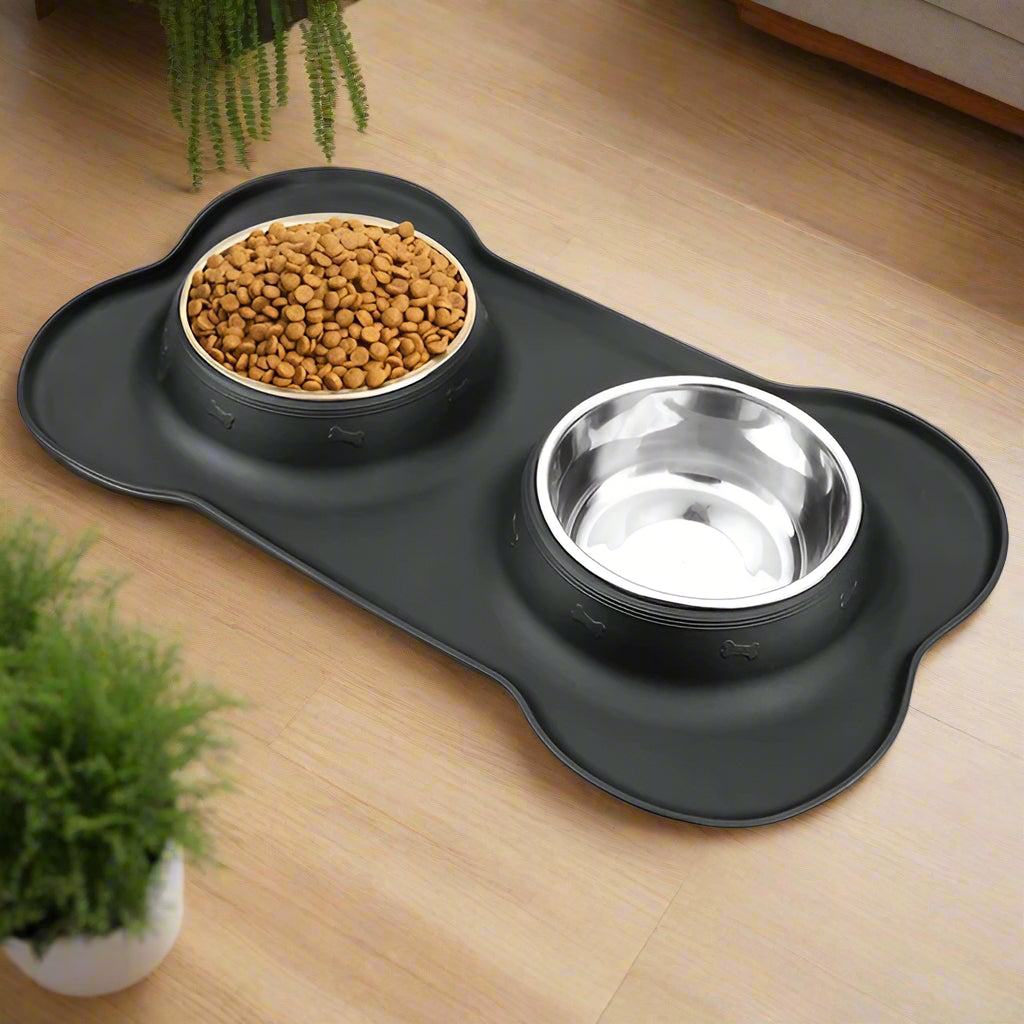 close up shot of cat bowl dog bowl best quality