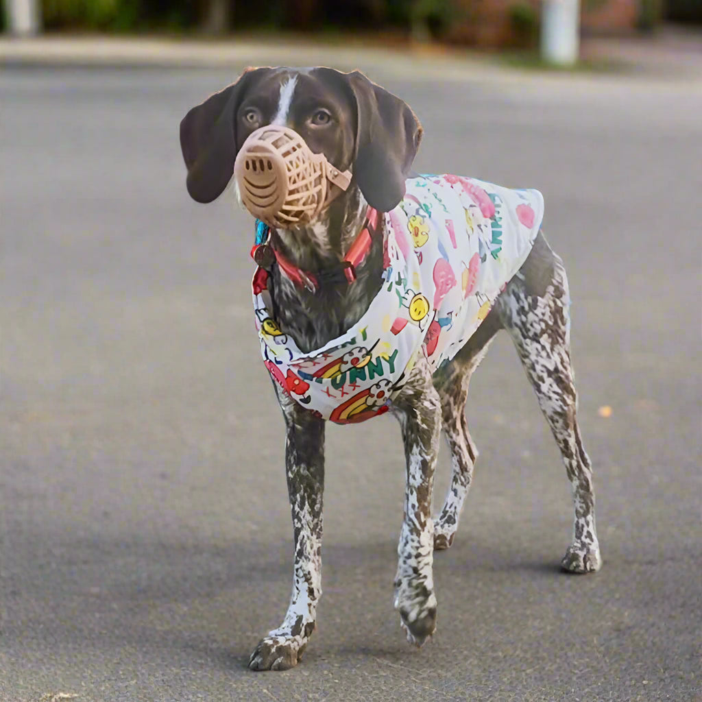 colourful water proof dog coat