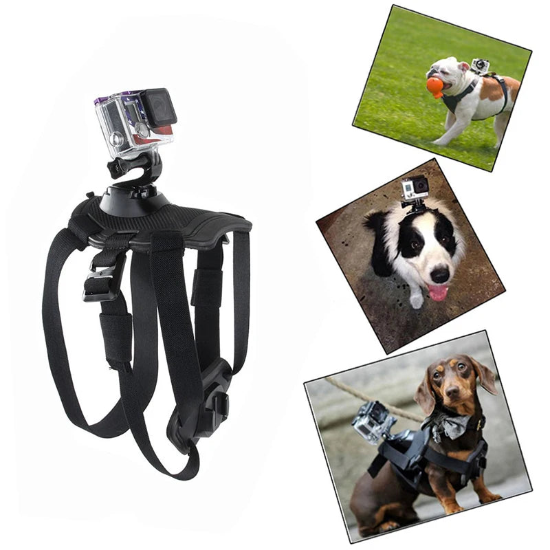 Dog camera harness with GoPro mount and images of dogs using the harness.