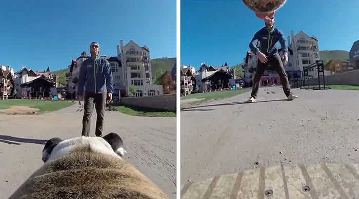 Package contents of dog camera harness set with mount accessories