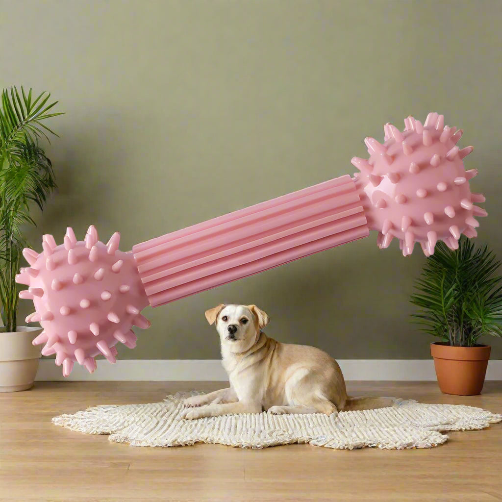 Dog Chew Toy: Pink Rubber Durable Molars Training Toys. - Sniff Waggle And Walk