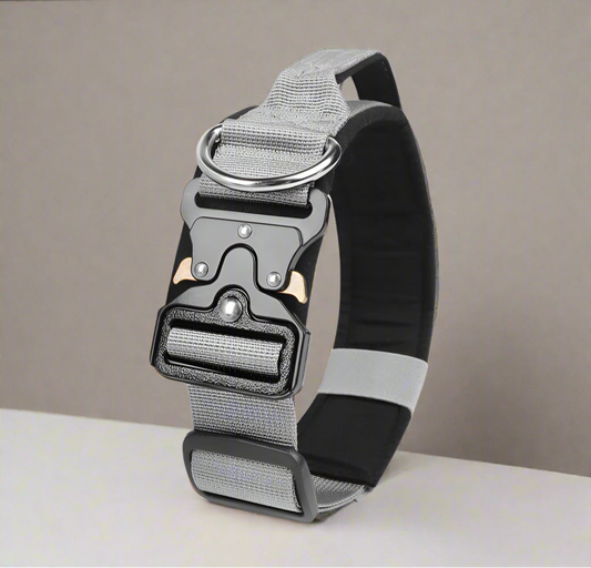 gray premium dog collor