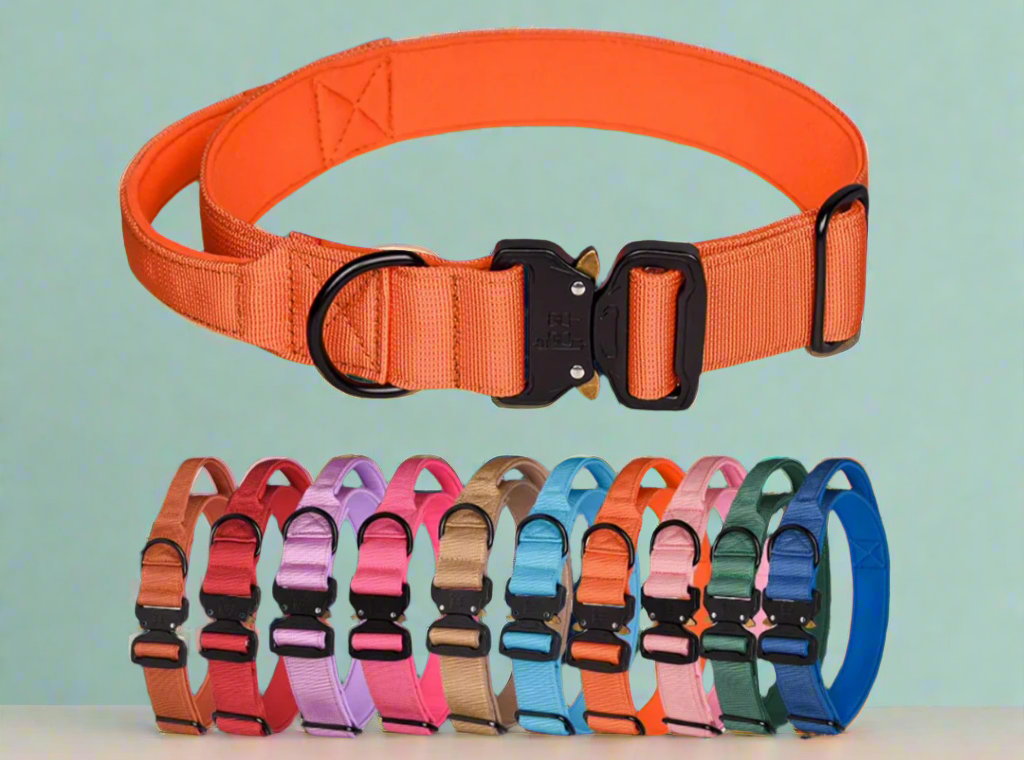 dog collor safety locking mechanism included