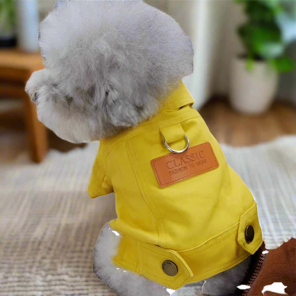 dog demin Spring Dog Suit Outfits with Dlink. - Sniff Waggle And Walk