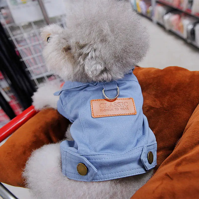 dog denim Spring Dog Suit Outfits with Dlink. - Sniff Waggle And Walk