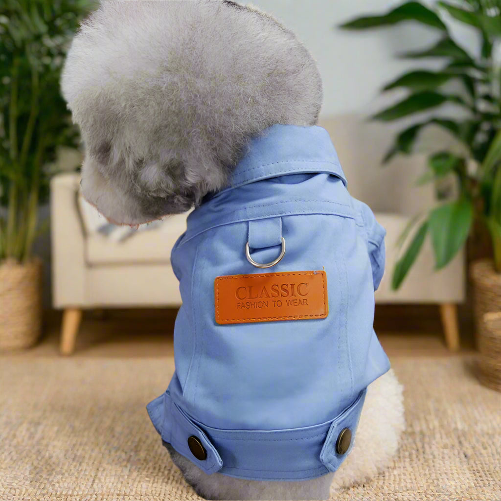 denim Spring Dog Suit Outfits with Dlink. - Sniff Waggle And Walk