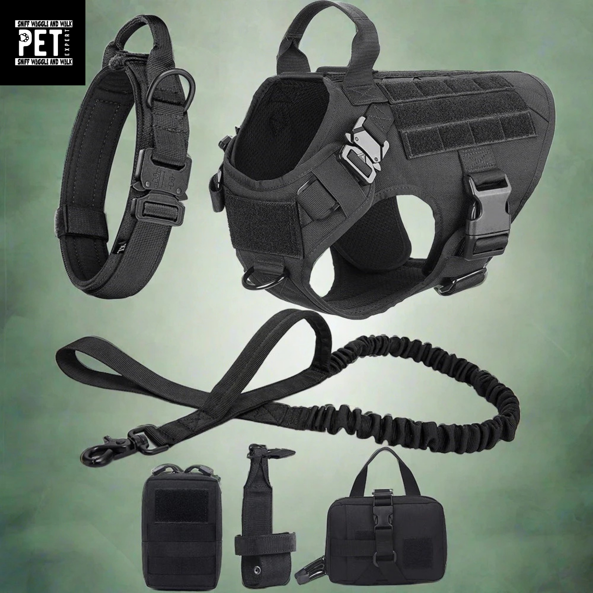 dog collar and harness