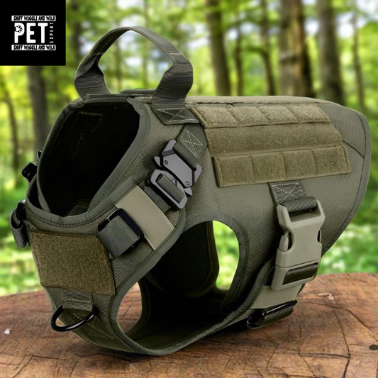 tactical dog harness, green