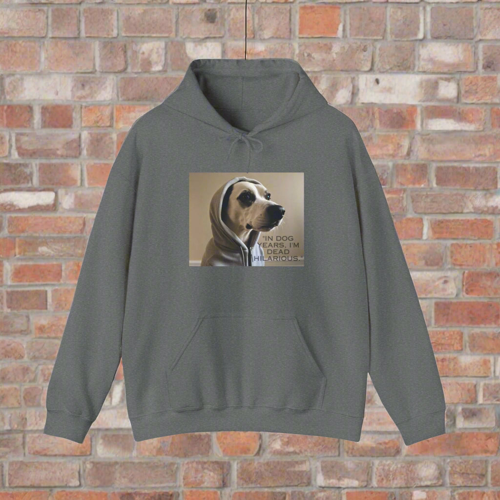 dogwalking eco friendly hoodie sweatshirt