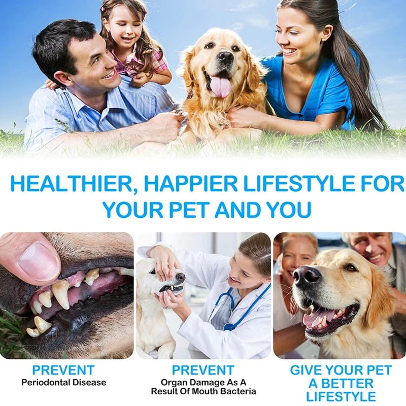 dog tooth Cleaning Kit Include Toothpaste & Soft Long Toothbrush & Finger Toothbrush. - Sniff Waggle And Walk