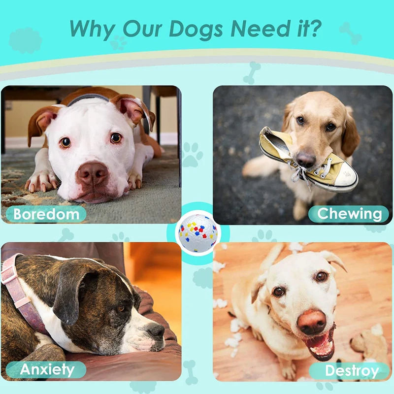 Bite Resistant Ball. - Sniff Waggle And Walk