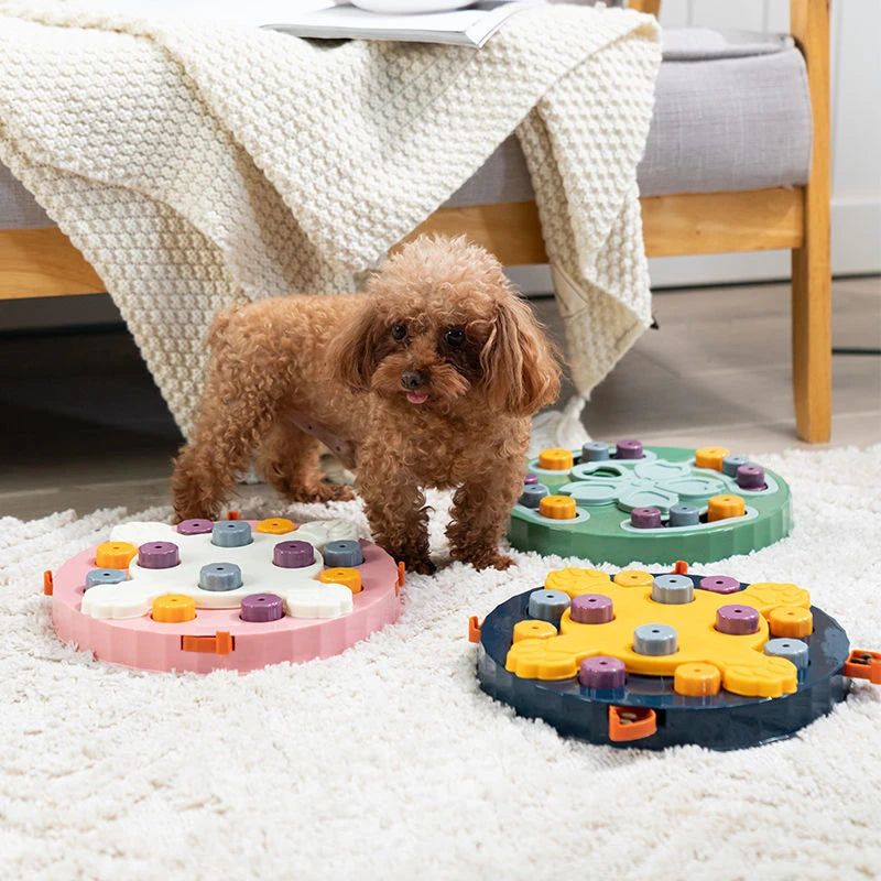 Dog Puzzle game slow feeder. - Sniff Waggle And Walk