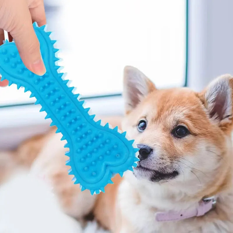 eco friendly rubber chew Rubber Bite-resistance Bone Chew toy. - Sniff Waggle And Walk