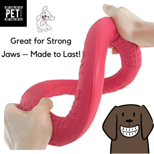 dog toy getting tested stretched bound super strong