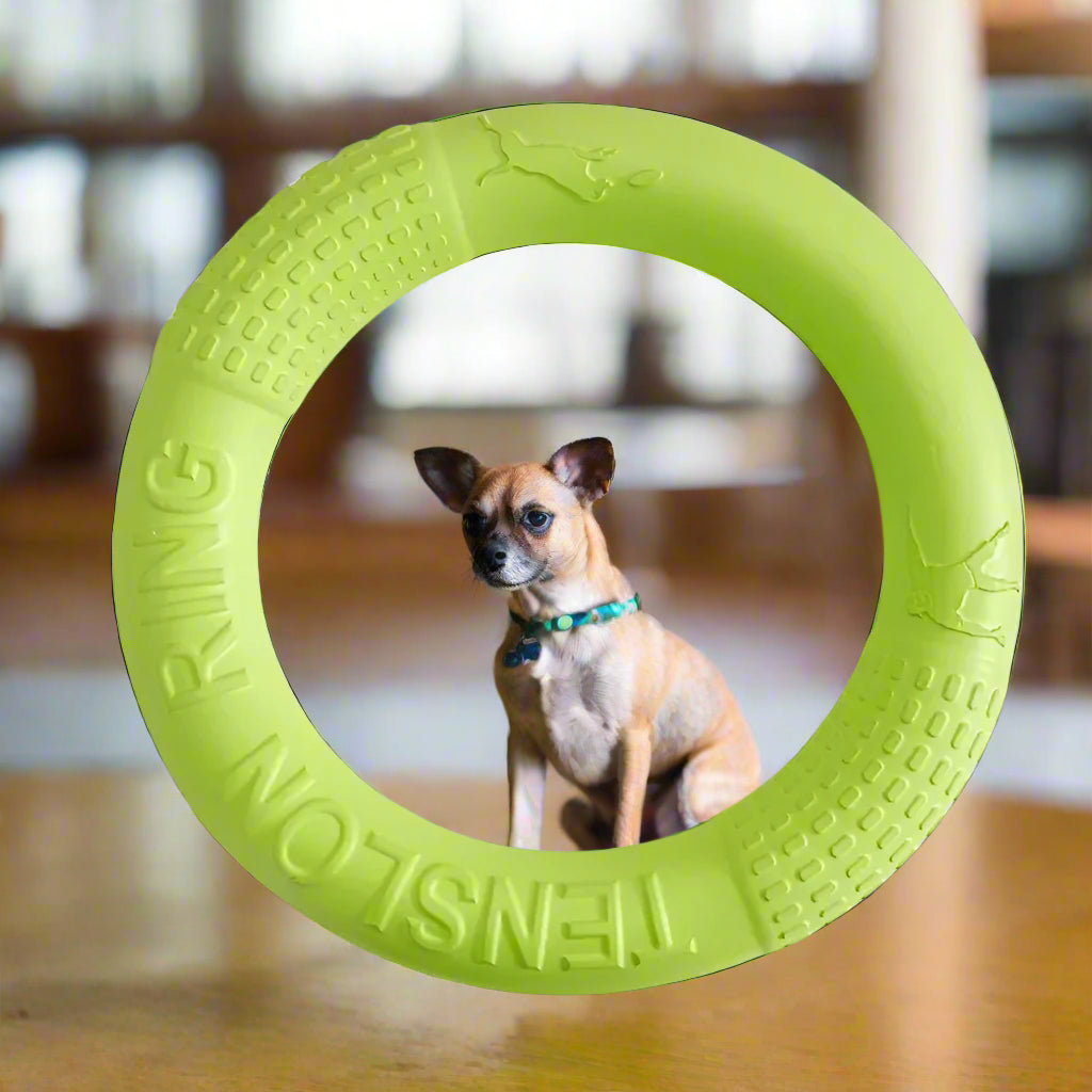 dog toy tough ring Ring Puller Resistant Toy. - Sniff Waggle And Walk