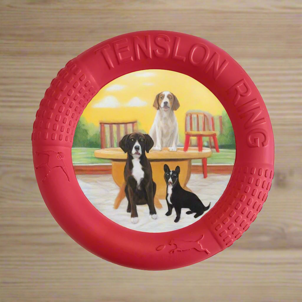 dog toy strength hard tough Ring Puller Resistant Toy. - Sniff Waggle And Walk