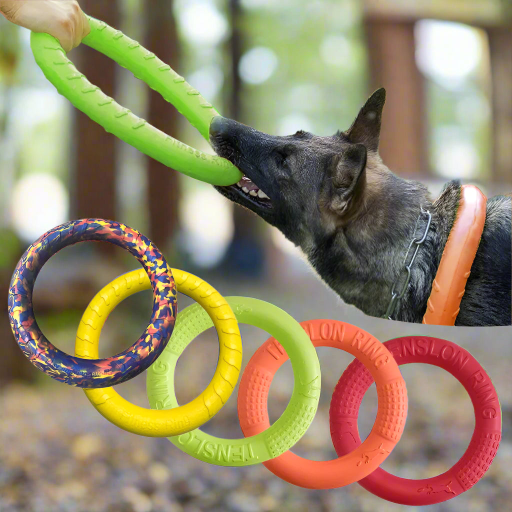 dog toy tough Ring Puller Resistant Toy. - Sniff Waggle And Walk