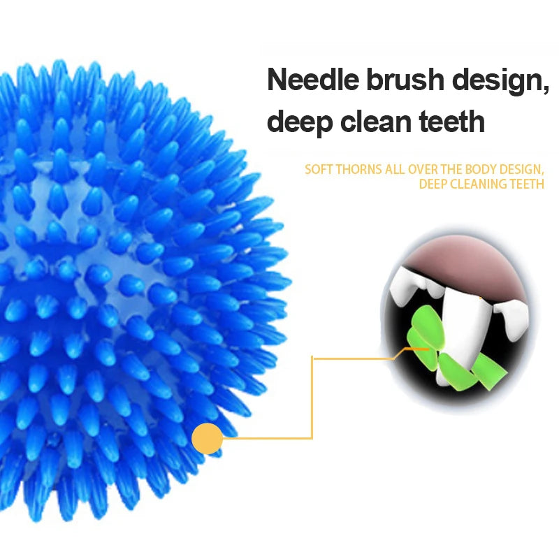 Squeaky Tooth Cleaning Ball dog toy needles. - Sniff Waggle And Walk