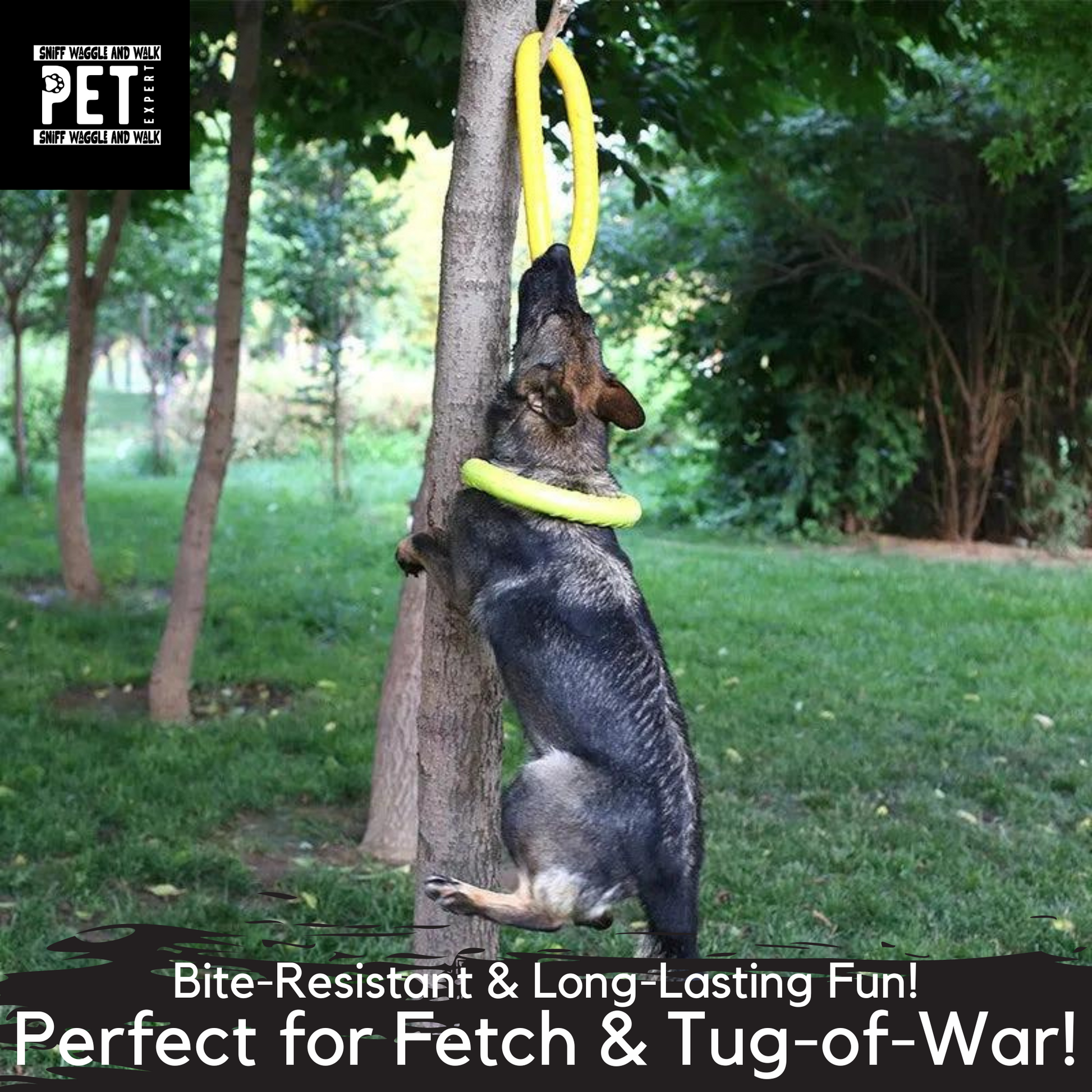 super strong dog toy ring getting pulled by a dog