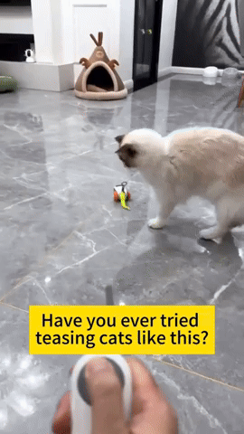 Advanced ver3.0 Smart Feather Chase Cat Companion – USB Rechargeable, Auto & Remote Control Play with Obstacle Avoidance