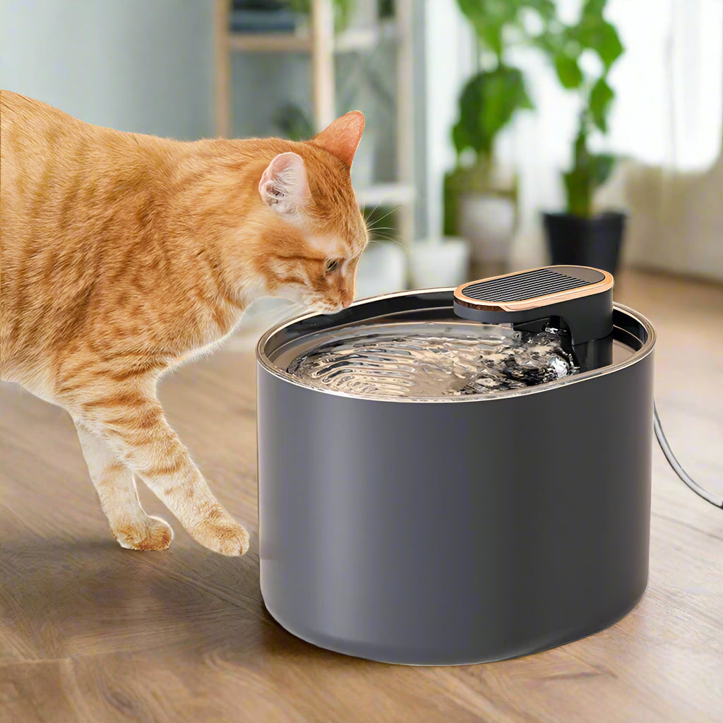 Automatic Cat Water Fountain. - Sniff Waggle And Walk