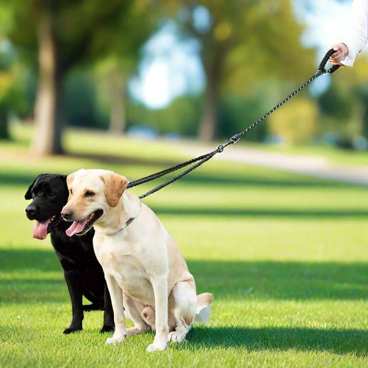 Dual Dog Leash lead - Sniff Waggle And Walk