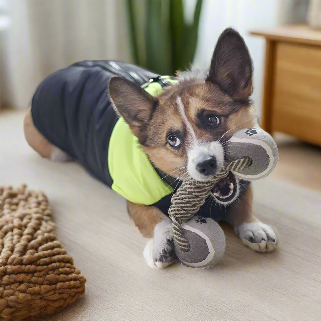 dumbel tough dog toy Pets Chew Toy Cotton Rope Dumbbell. - Sniff Waggle And Walk