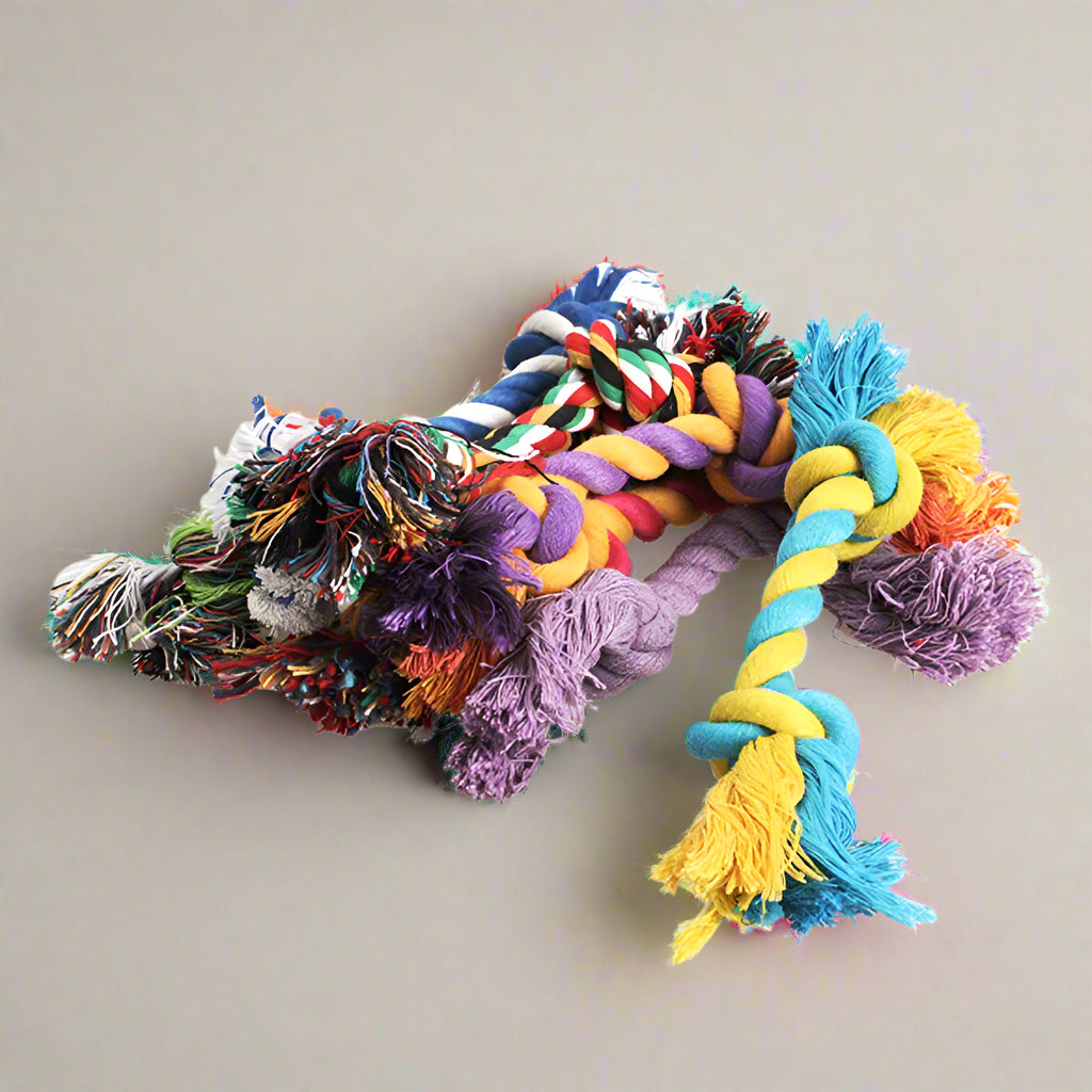 braided dog Chew Toy Durable Braided Bone Rope 18CM. - Sniff Waggle And Walk