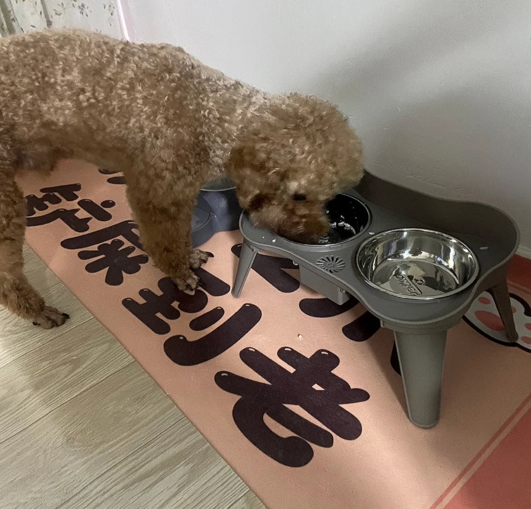 elevated ct and dog bowl feeder