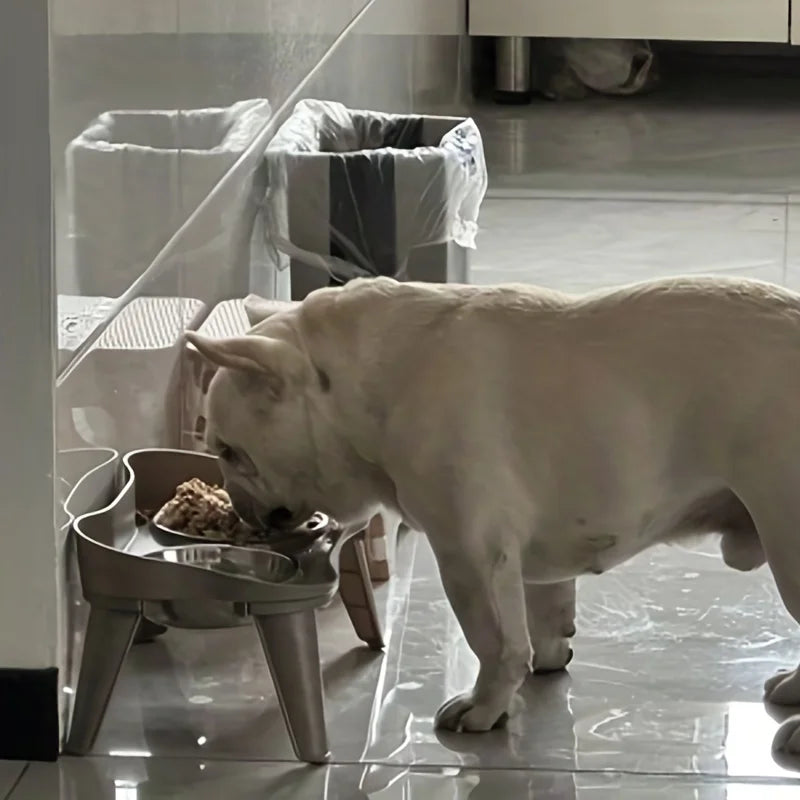 french bulldog dog bowl