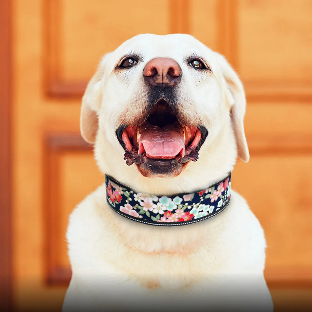 Dog wearing a floral collar with a blurred wooden background