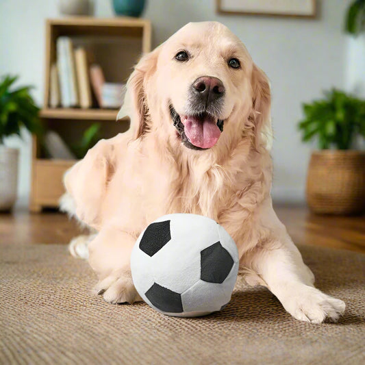 Snifwagglenwalk™ Football Pet Plush Toy: Interactive Fun for Dogs and Cats - Sniff Waggle And Walk