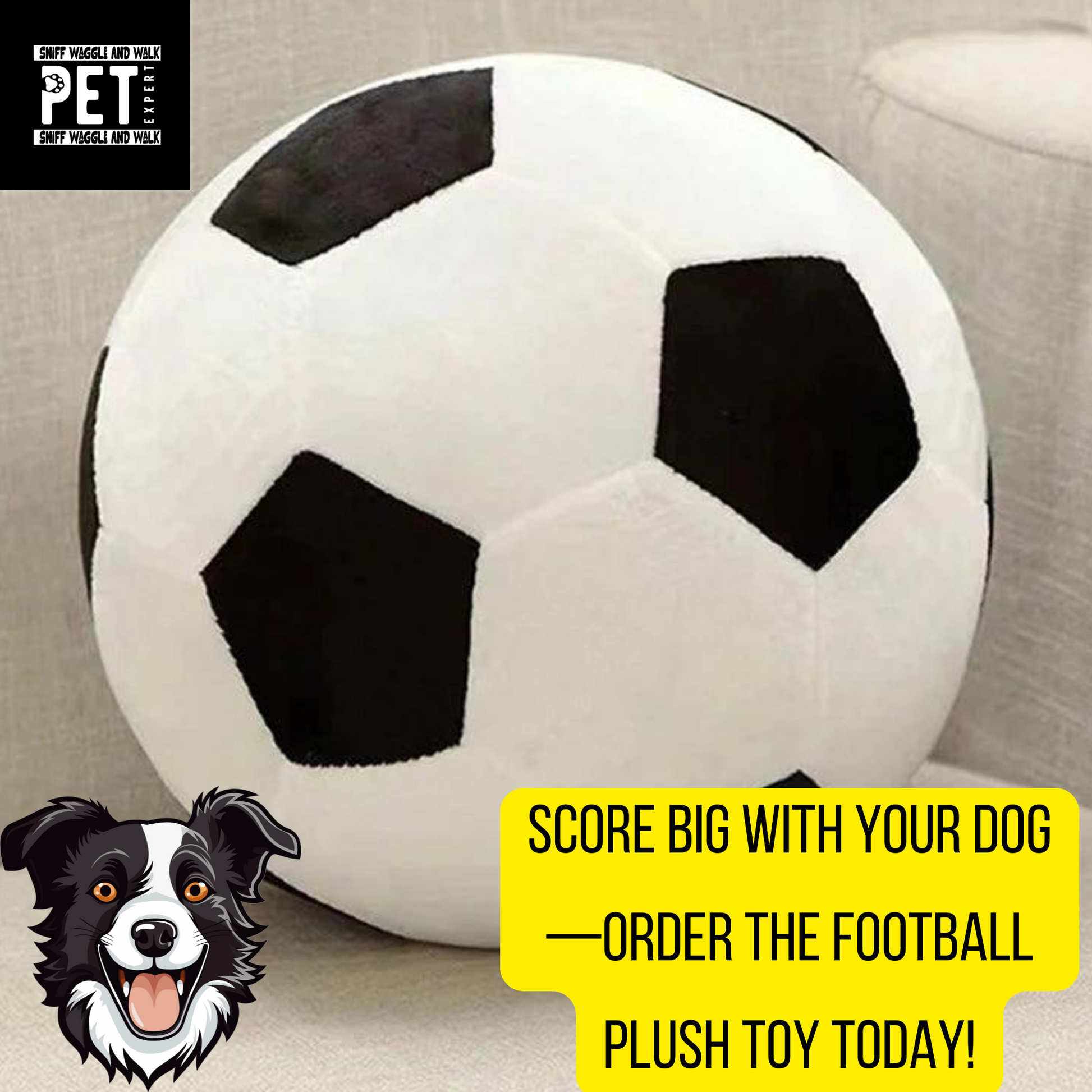 football dog toy eco