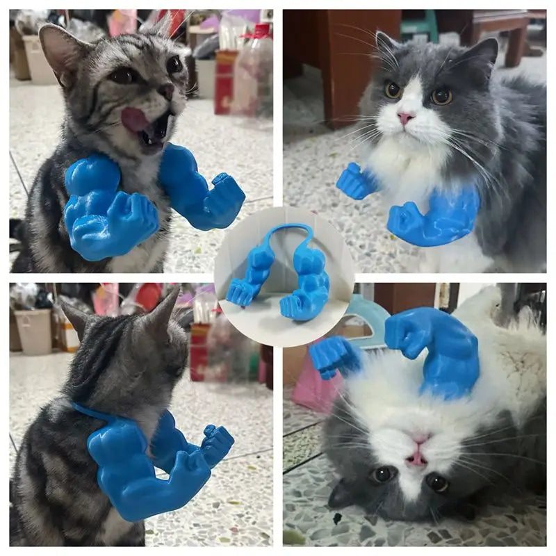 blue cat arms pet toys