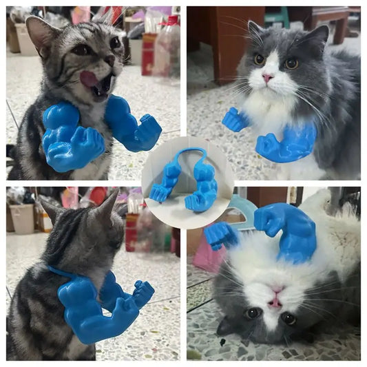 blue cat arms pet toys