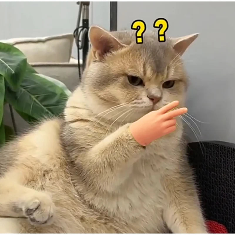 cat toy finger