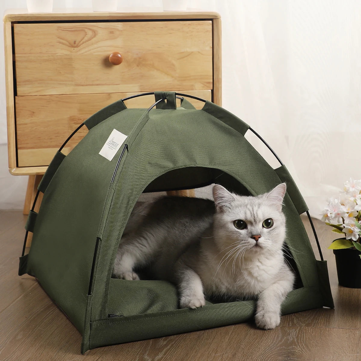 Cat inside a green tent on a wooden floor with a wooden drawer in the background