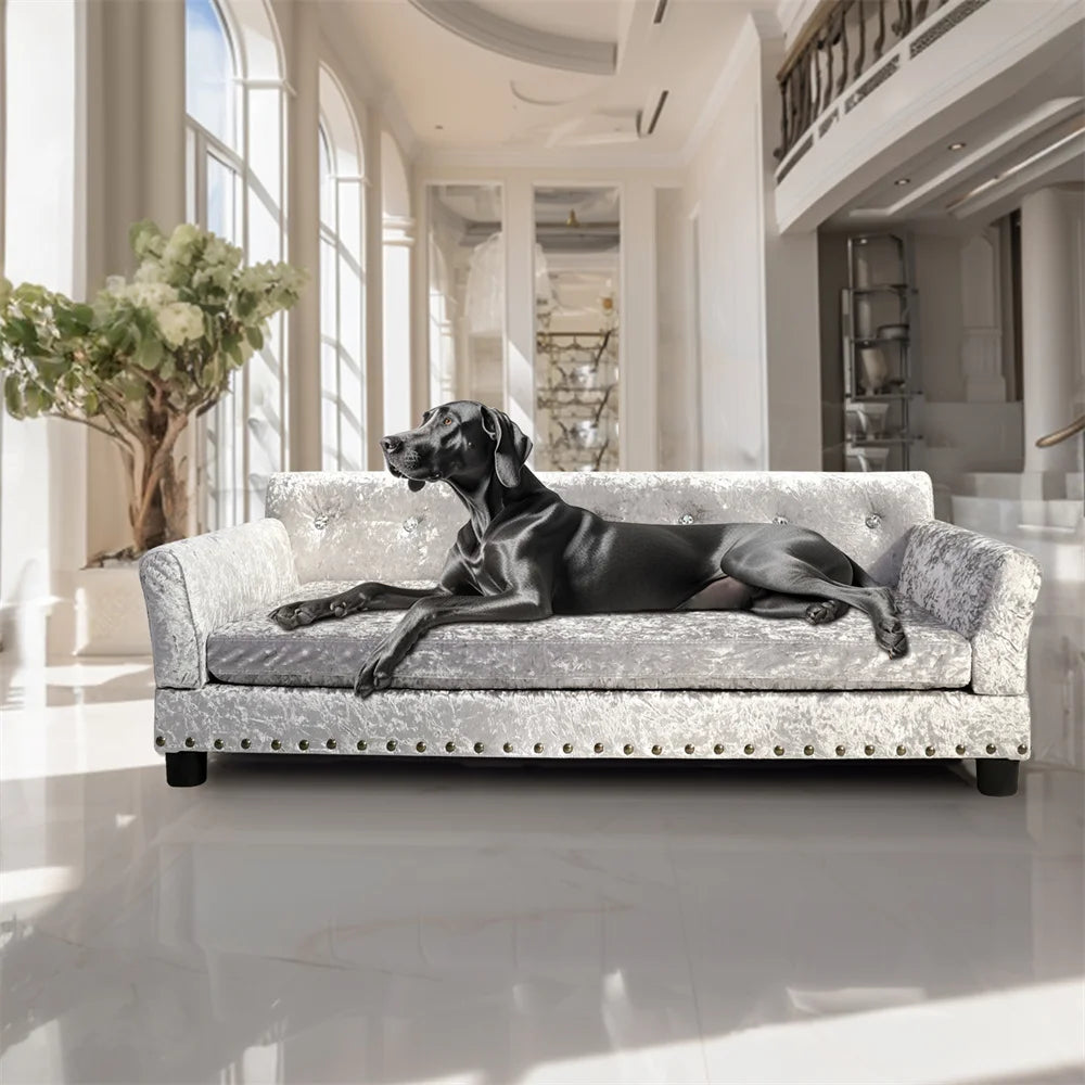 German Shepherd resting on Grand Pawdiere crushed velvet Chesterfield dog sofa