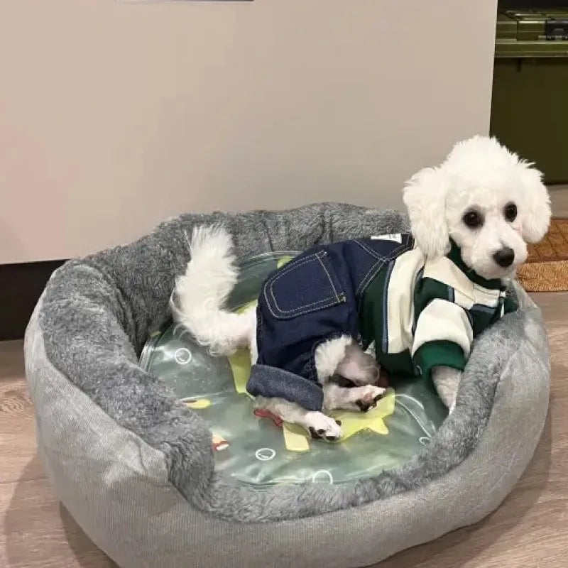 gorgeous soft orphorpedic pet bed